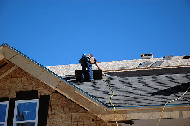 Best Roof Leak Repair  in Parshall, ND