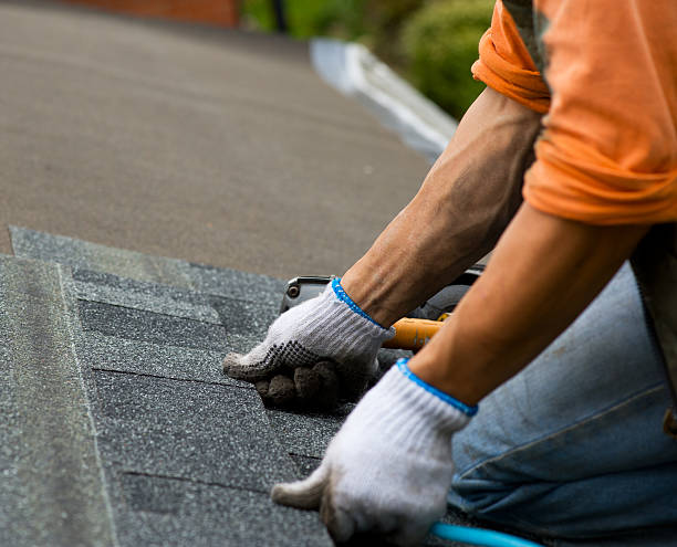 Best Best Roofing Contractors  in Parshall, ND