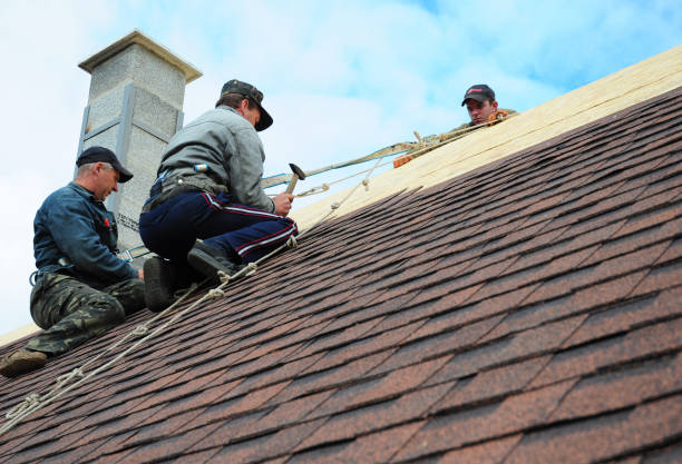 Best Shingle Roofing Installation  in Parshall, ND