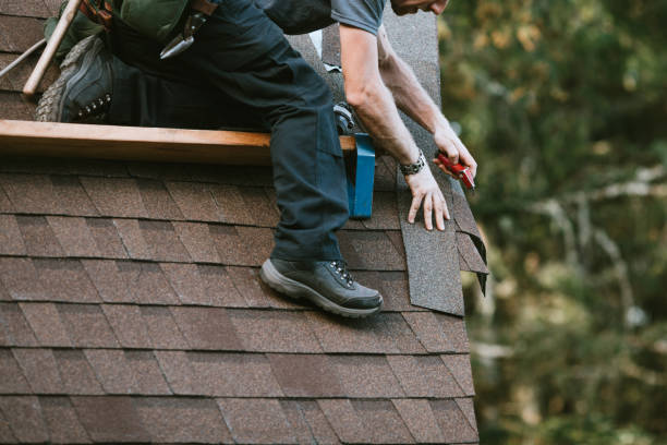 Best Local Roofing Companies  in Parshall, ND